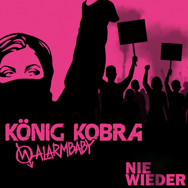 Nie wieder cover