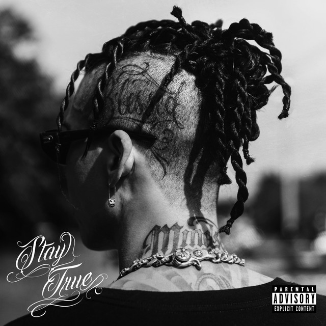 STAY TRUE cover art