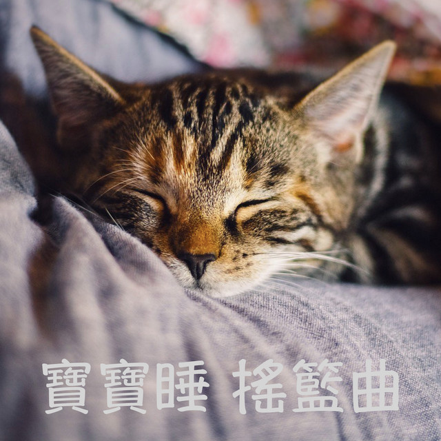 兒童音樂精選