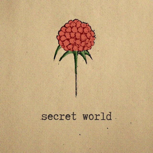 Secret World cover