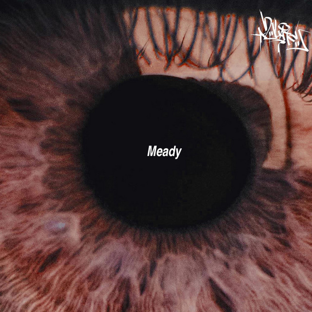 Meady - Single by 2LATE | Spotify