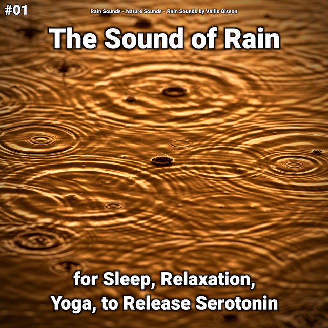 #01 The Sound of Rain for Sleep, Relaxation, Yoga, to Release Serotonin cover art