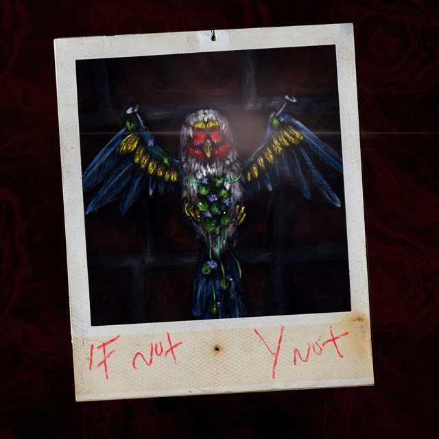 IF NOT, Y NOT? cover art