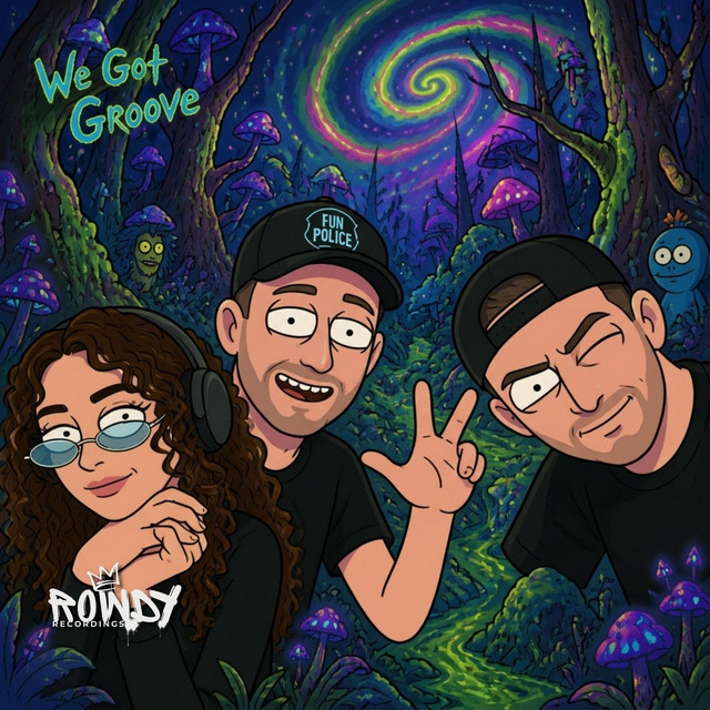 We Got Groove cover