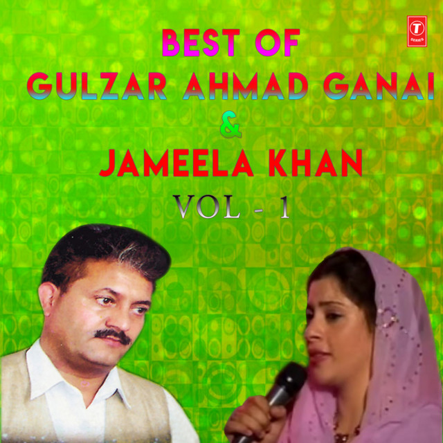 Dunya Ke Aye Musafir (From "Arizee Boztam") cover art