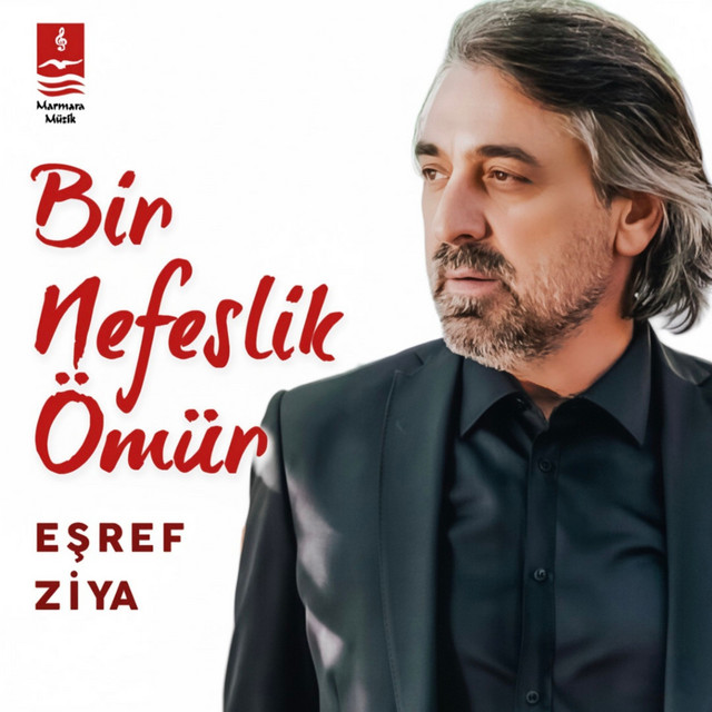 Bir Nefeslik Ömür cover