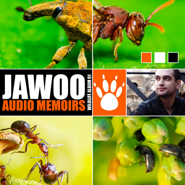 Jawoo Photo