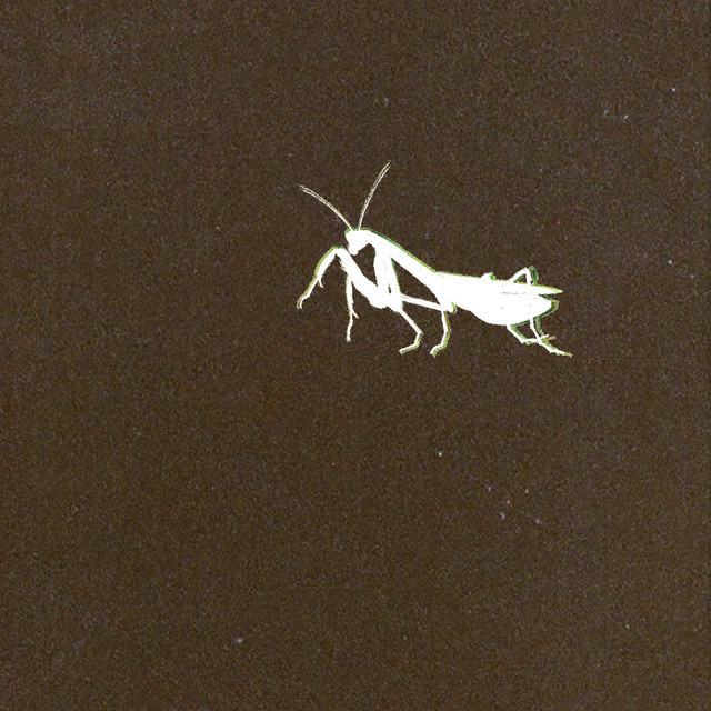 BUG cover art