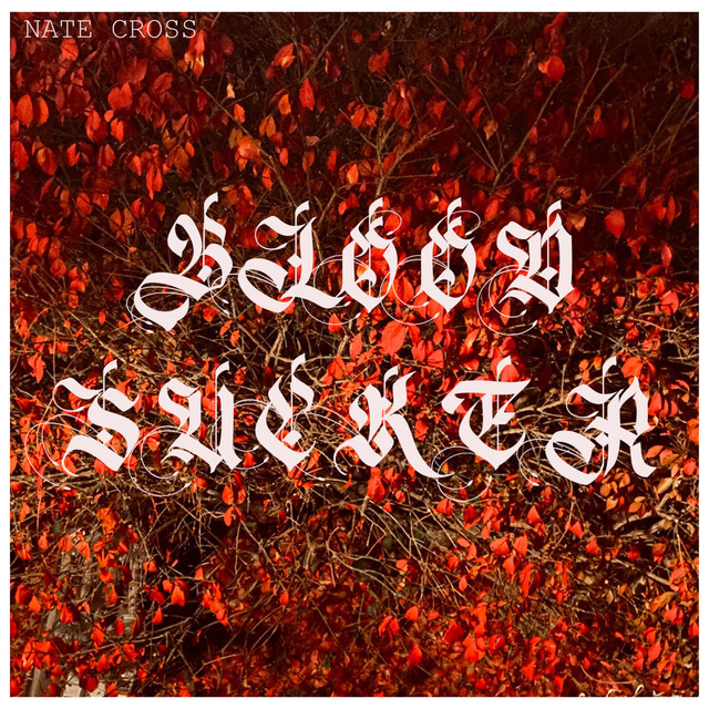 Blood Sucker cover
