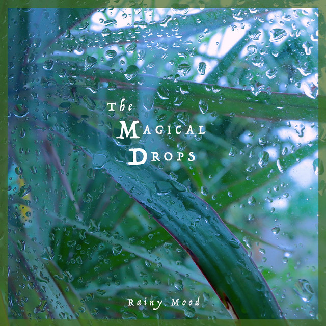 Rainy Mood cover art