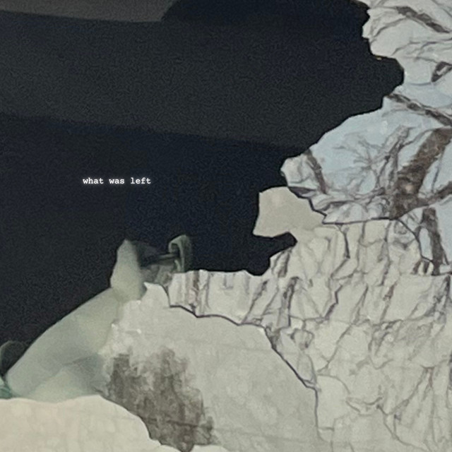 what was left cover art