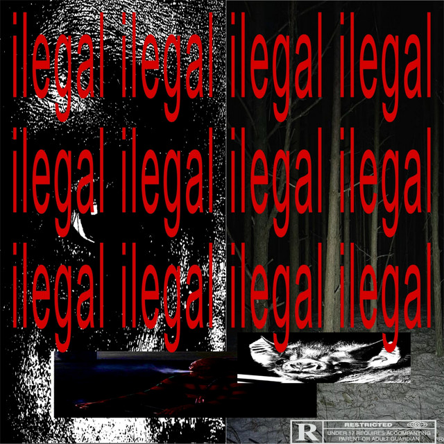 Ilegal cover art
