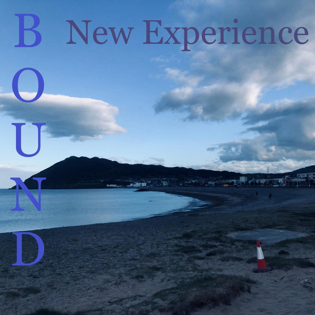 New Experience cover art