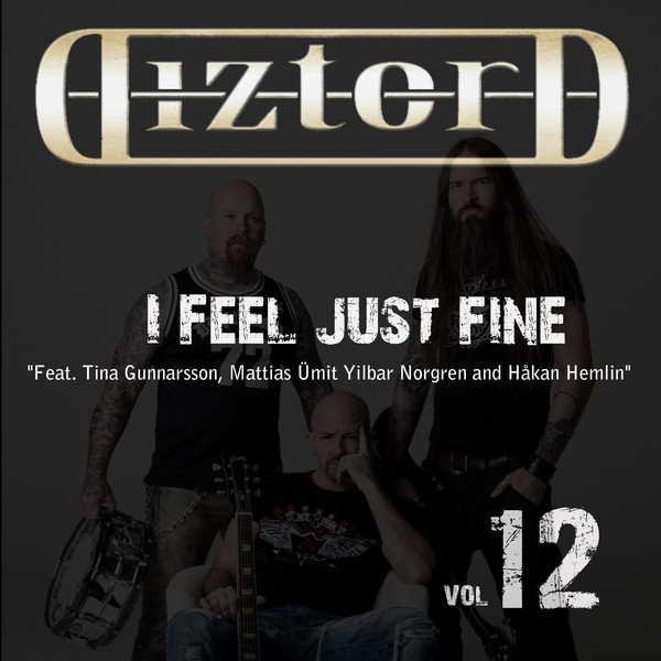Diztord, Vol. 12 (I Feel Just Fine)
