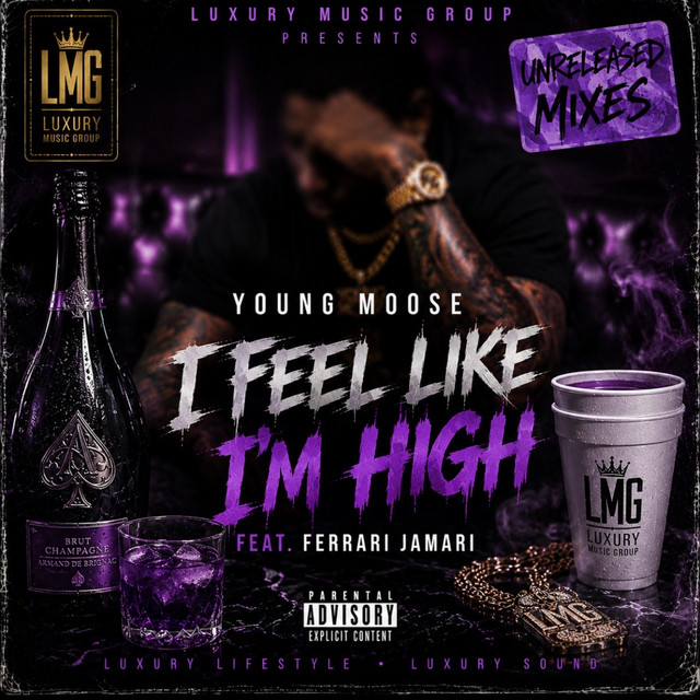I Feel Like I'm High album image