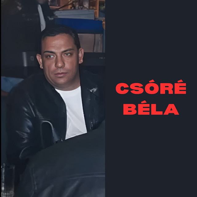 Az égre volt írva cover art