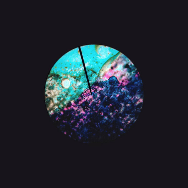 II cover art