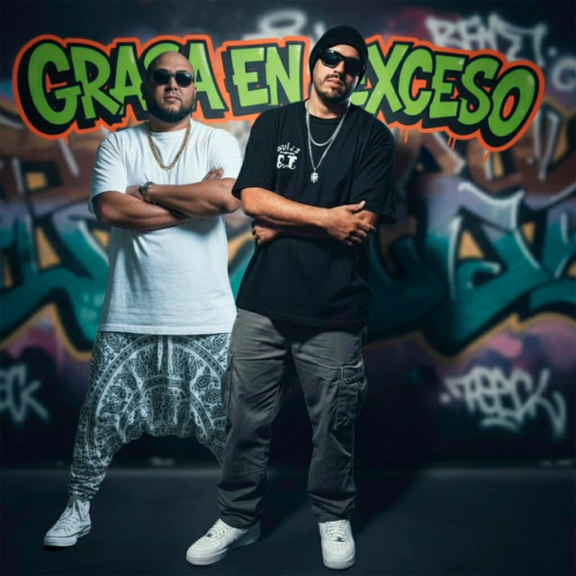 Grasa en Exceso