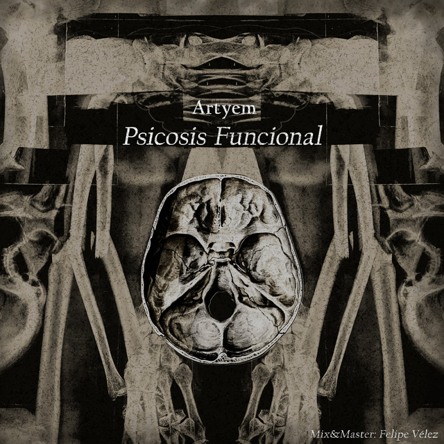 Psicosis Funcional cover art