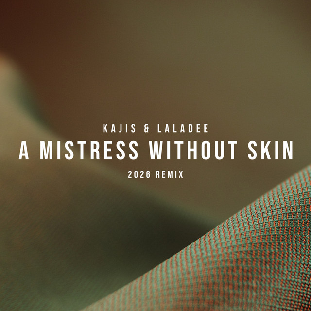 A Mistress Without Skin cover