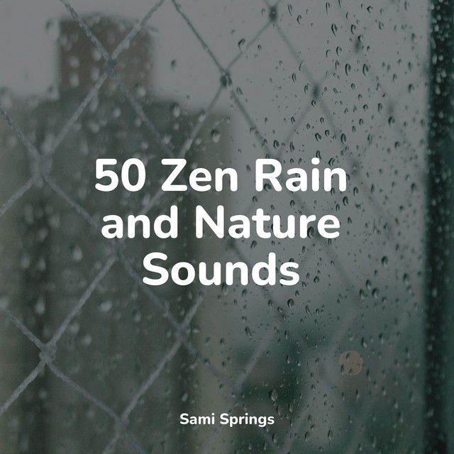 50 Zen Rain and Nature Sounds - Album by Musique Zen Garden | Spotify