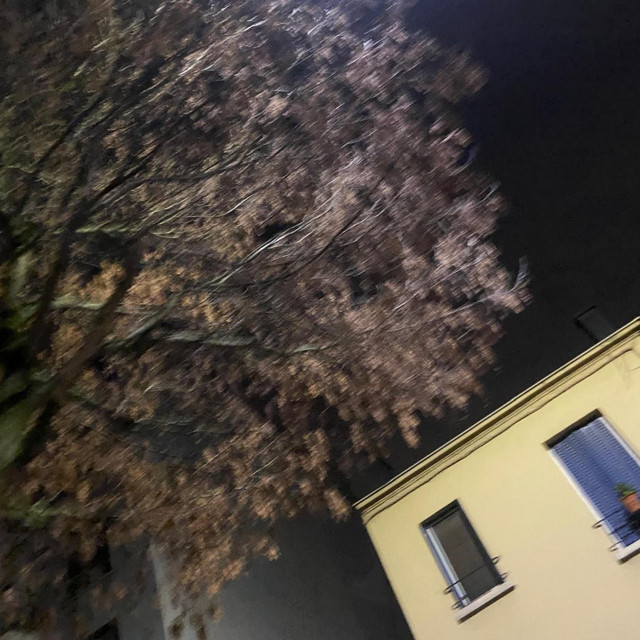 Outside cover art