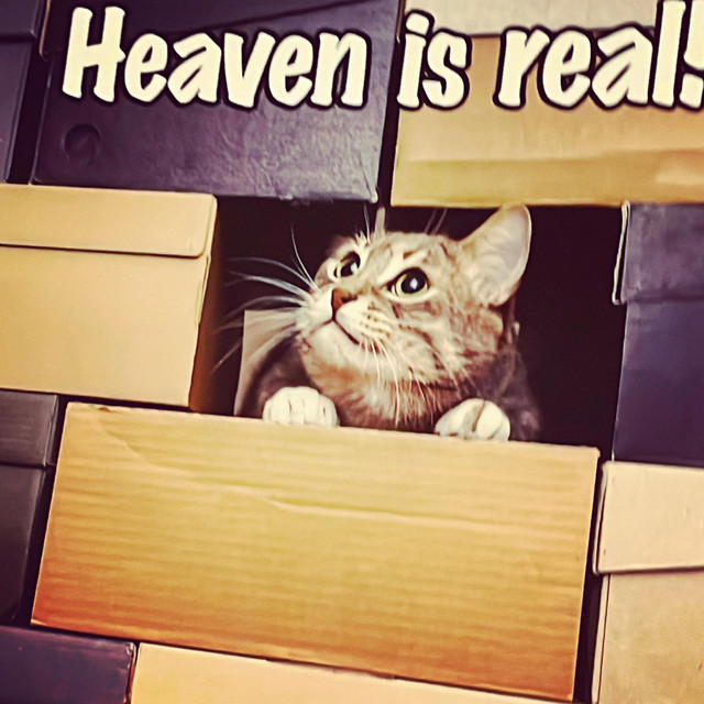 heaven is real! cover art