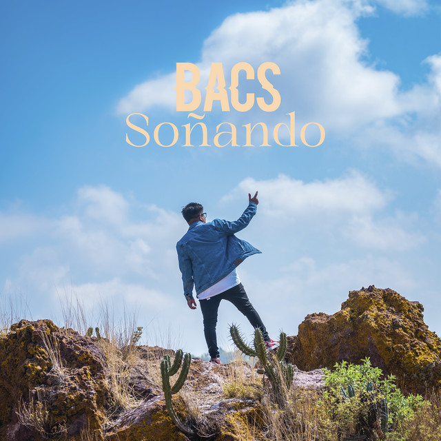 Soñando cover art
