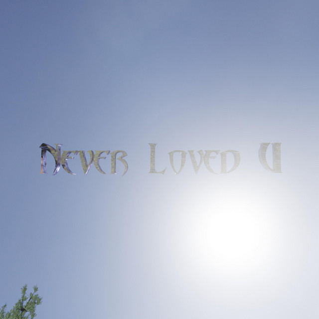 Never Loved U cover