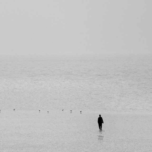 Introspection