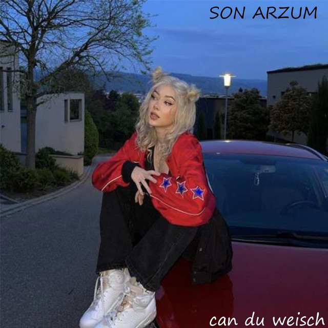 Son Arzum cover art