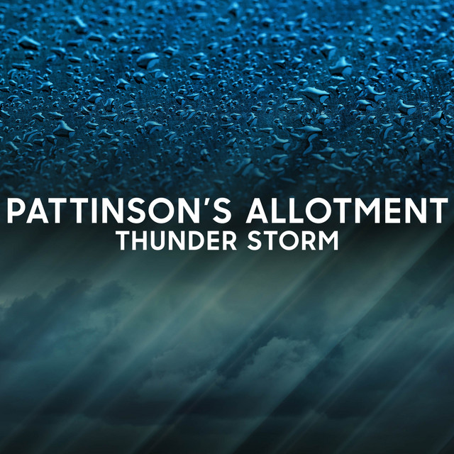 Pattinson's Allotment Thunderstorm cover art