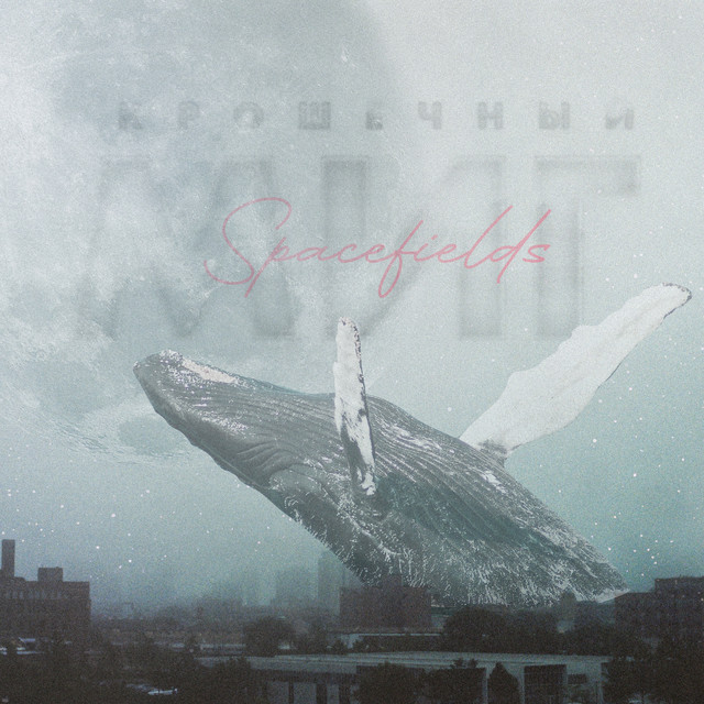 Обкладинка: Крошечный миг — Spacefields