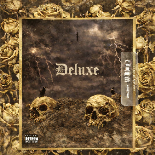 undefined album image