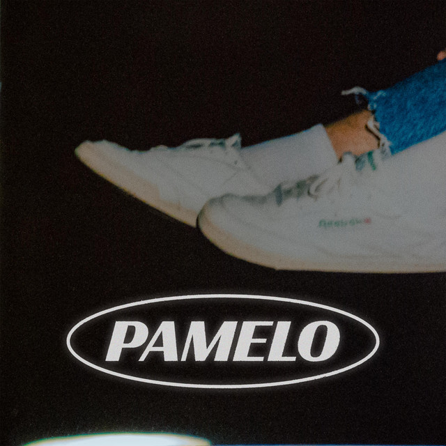 Pamelo cover art