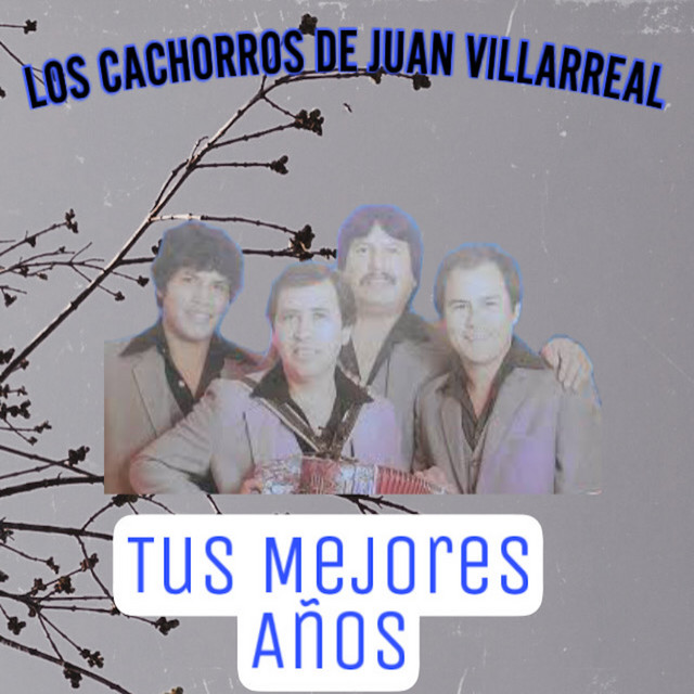 Tus Mejores Años cover art