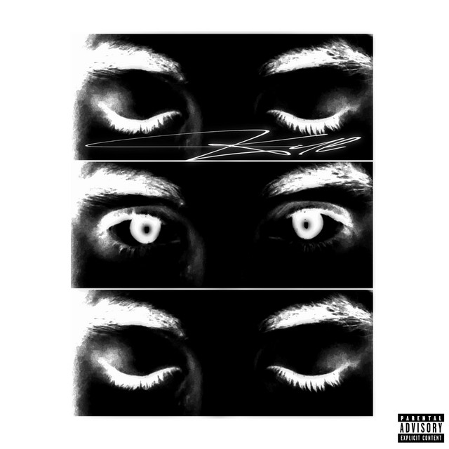 Salt cover art