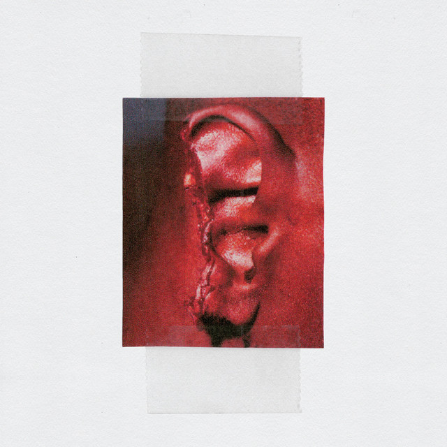 Cellular Housekeeping cover art