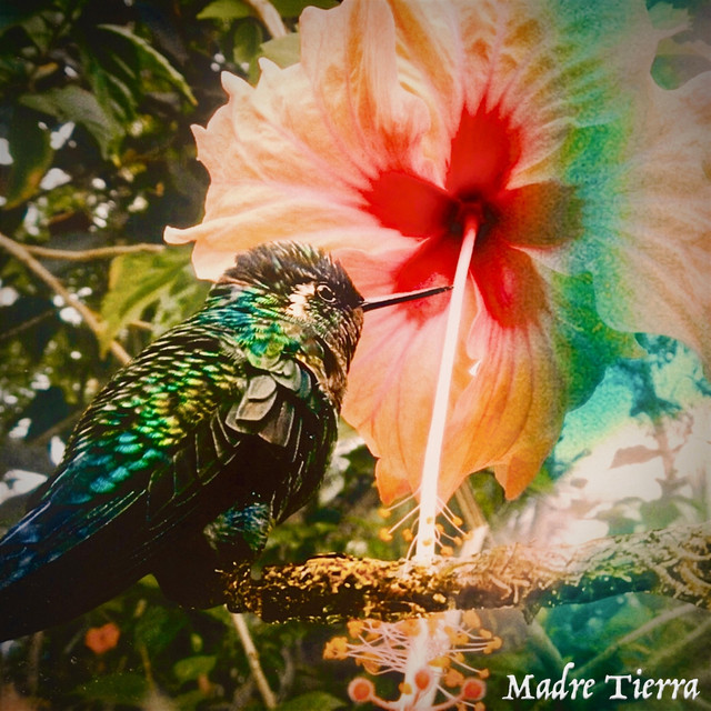 Madre Tierra