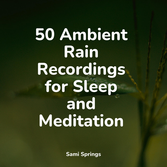 50 Ambient Rain Recordings for Sleep and Meditation - Album by Water ...