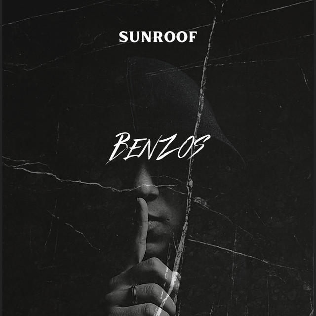BENZOS cover art