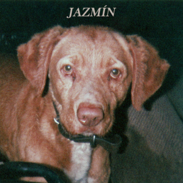 Jazmín cover art