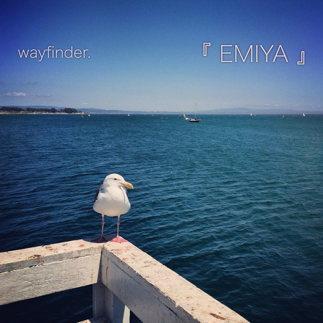 Wayfinder cover