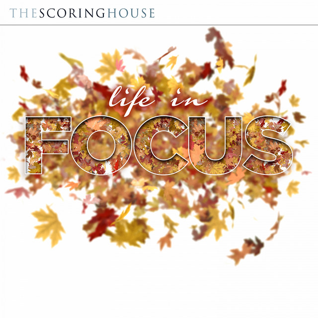 Life In Focus cover art
