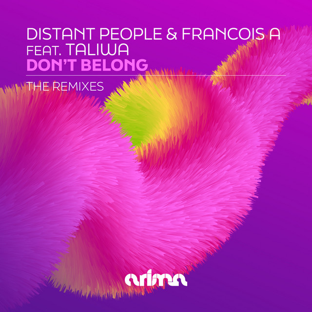 Dont Belong - Remix cover art