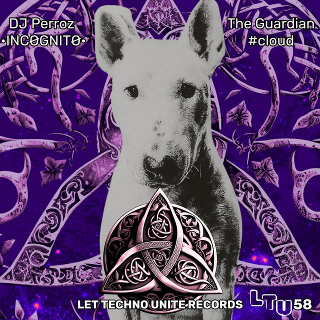 The Guardian - •INCØGNITØ• remix album art