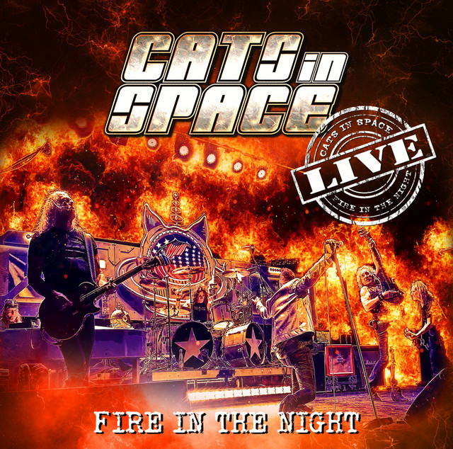 Fire in the Night (Live) cover art