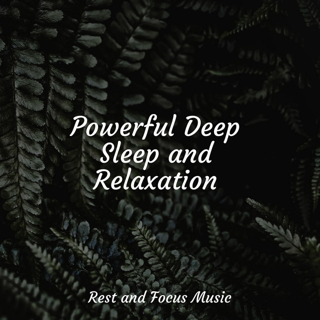 Powerful Deep Sleep and Relaxation - Album by Sounds of Nature White ...