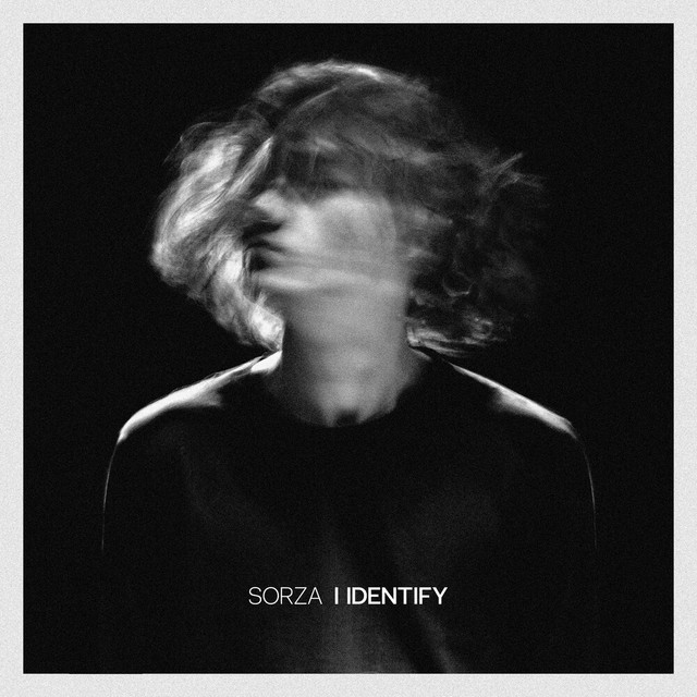 I IDENTIFY cover art
