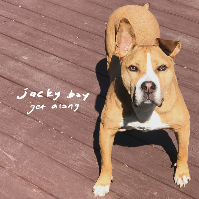 undefined album image